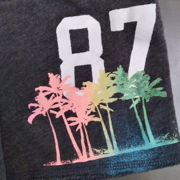 Gray Shorts | Aero | Small - Picture 3 of 3